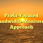 Profit-Focused Bandwidth-Monitored Approach