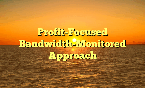 Profit-Focused Bandwidth-Monitored Approach
