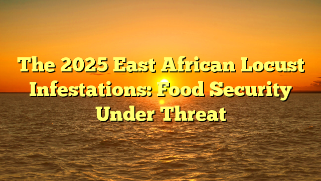 The 2025 East African Locust Infestations: Food Security Under Threat